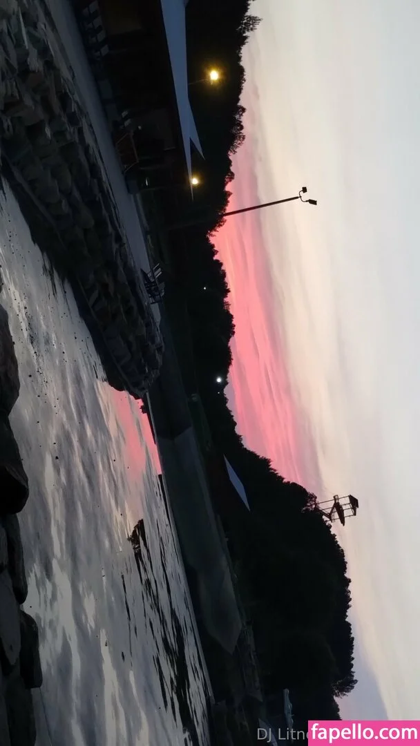 dj_litness Onlyfans Photo Gallery 