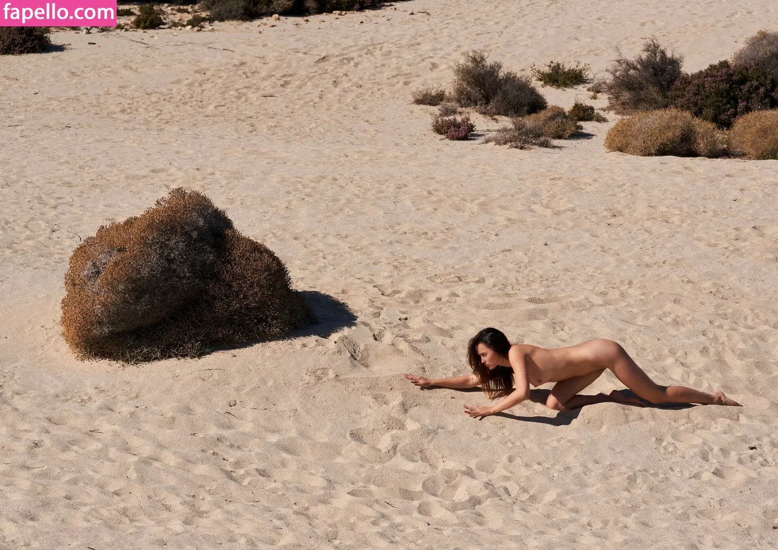 Margoreett Onlyfans Photo Gallery 