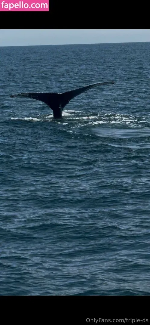 triple-ds Onlyfans Photo Gallery 