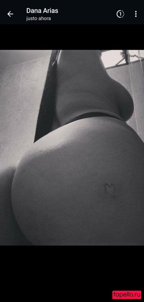 Dana Valentiina Nude Onlyfans Photo 36