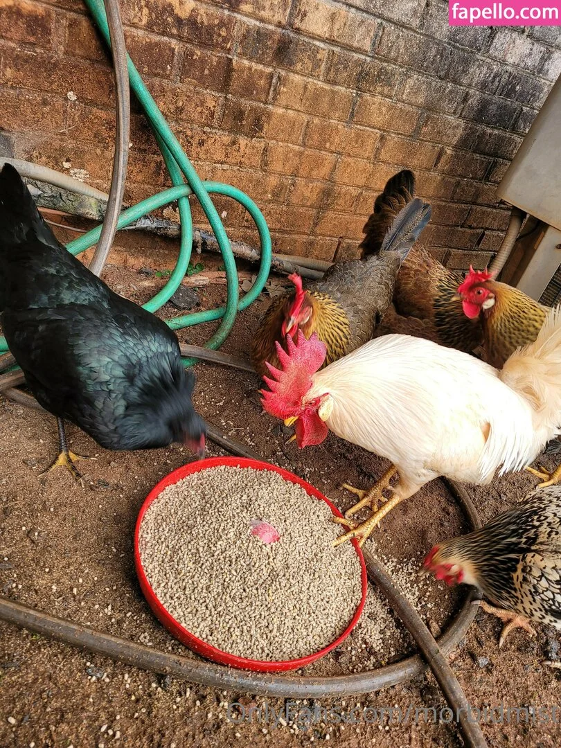 morbidmist Onlyfans Photo Gallery 