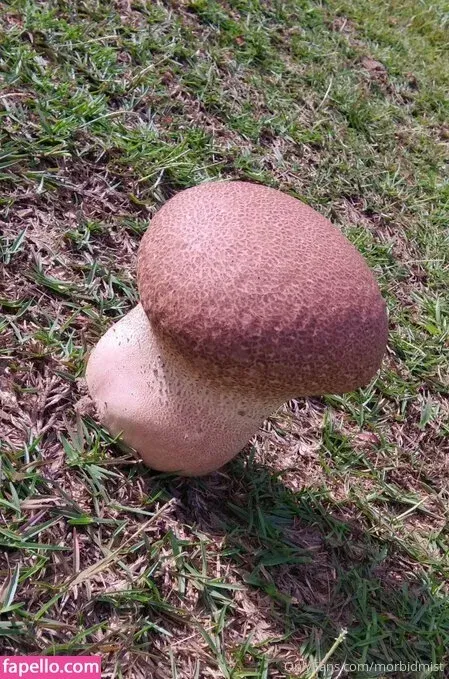 morbidmist Onlyfans Photo Gallery 