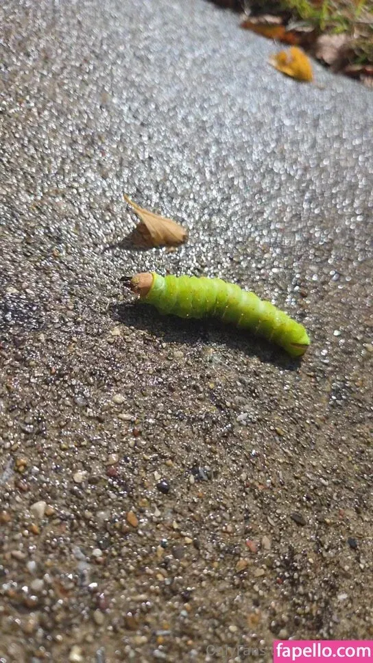 reirayfree Onlyfans Photo Gallery 