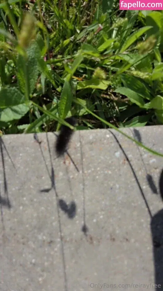 reirayfree Onlyfans Photo Gallery 