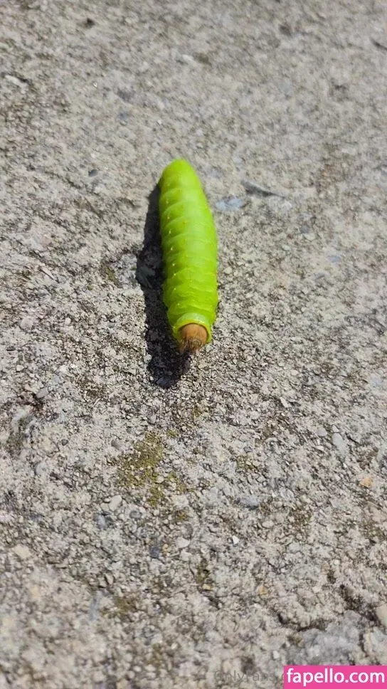 reirayfree Onlyfans Photo Gallery 