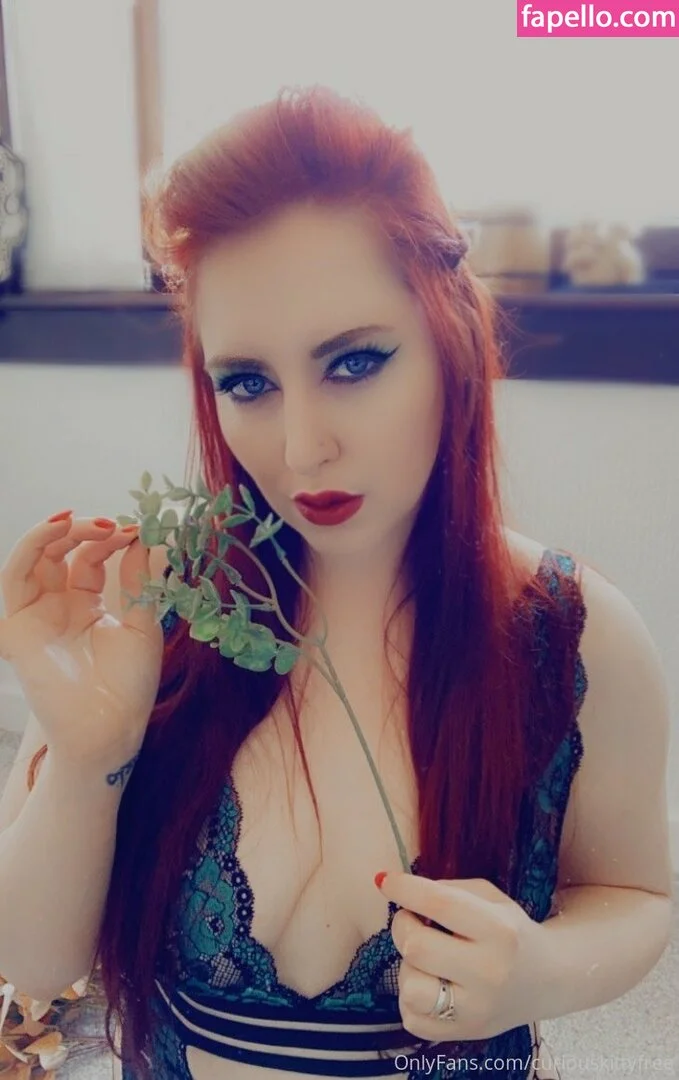 curiouskittypremium Onlyfans Photo Gallery 