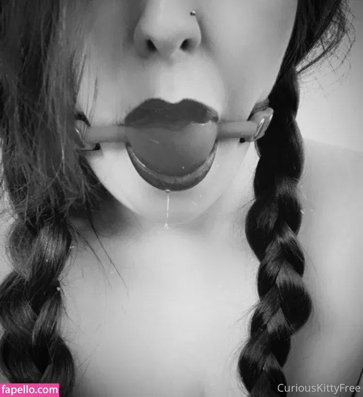 curiouskittypremium Onlyfans Photo Gallery 