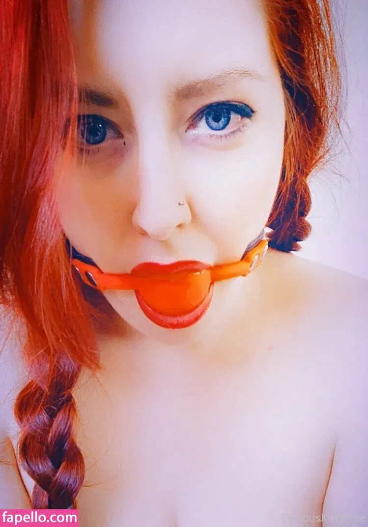 curiouskittypremium Onlyfans Photo Gallery 