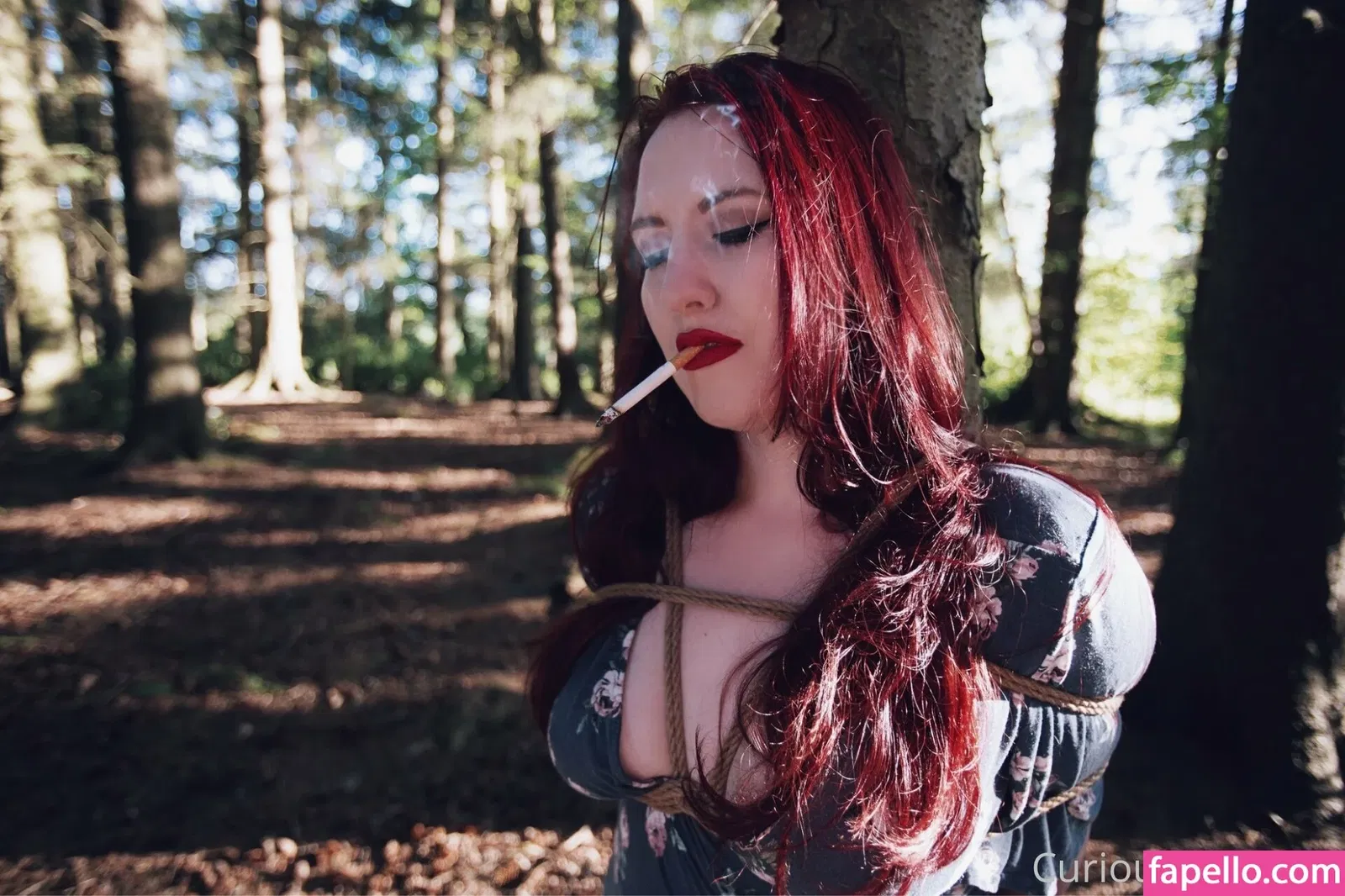 curiouskittypremium Onlyfans Photo Gallery 