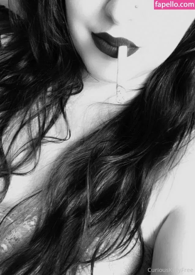 curiouskittypremium Onlyfans Photo Gallery 