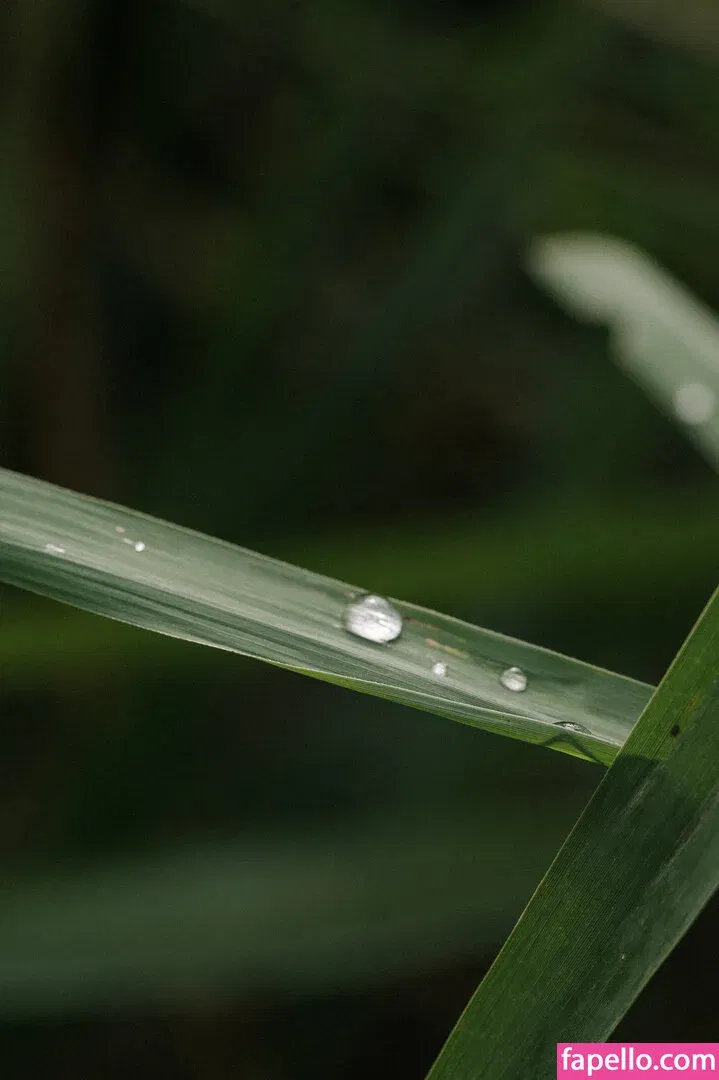 mira.vainer Onlyfans Photo Gallery 