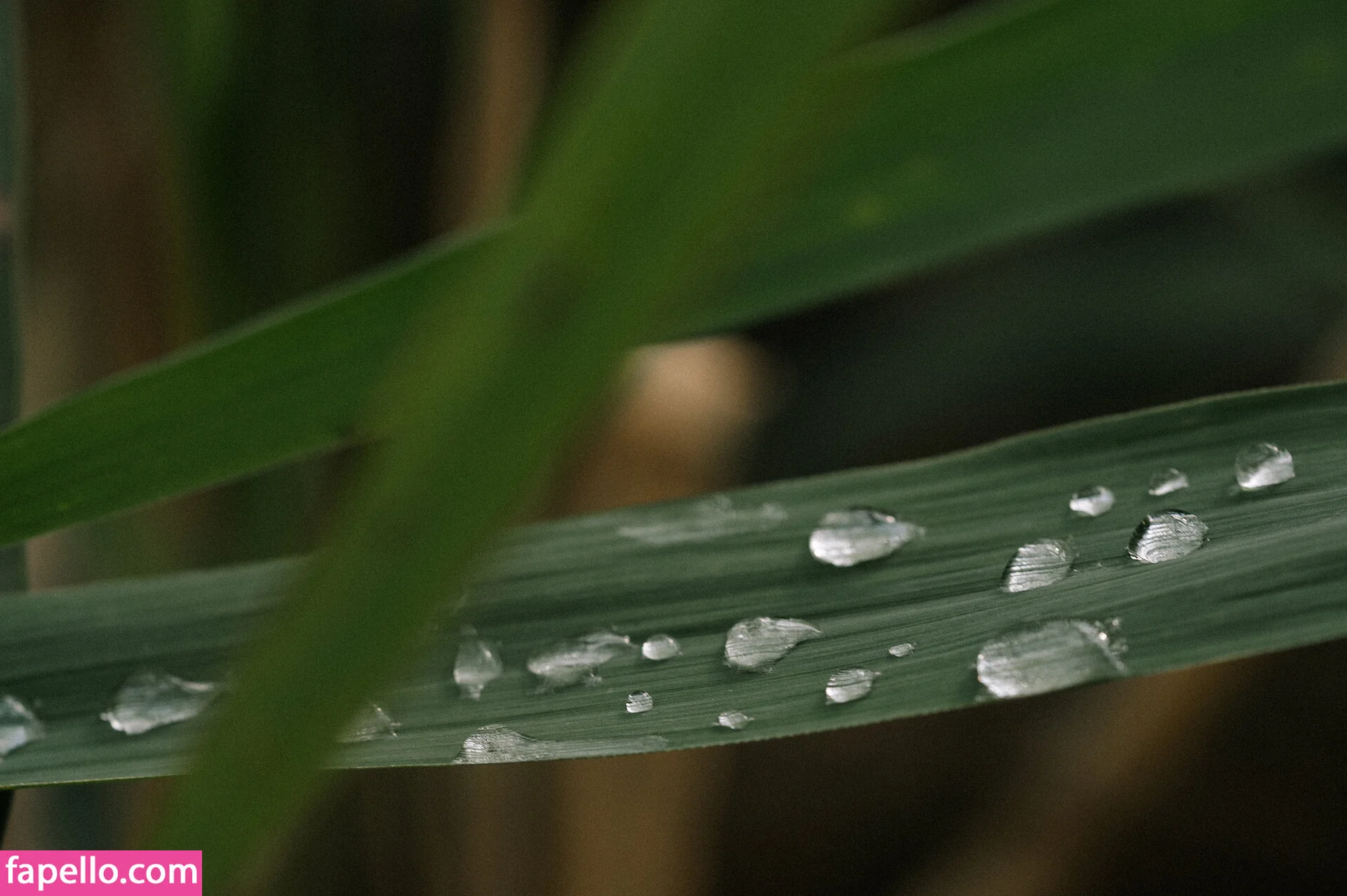 mira.vainer Onlyfans Photo Gallery 