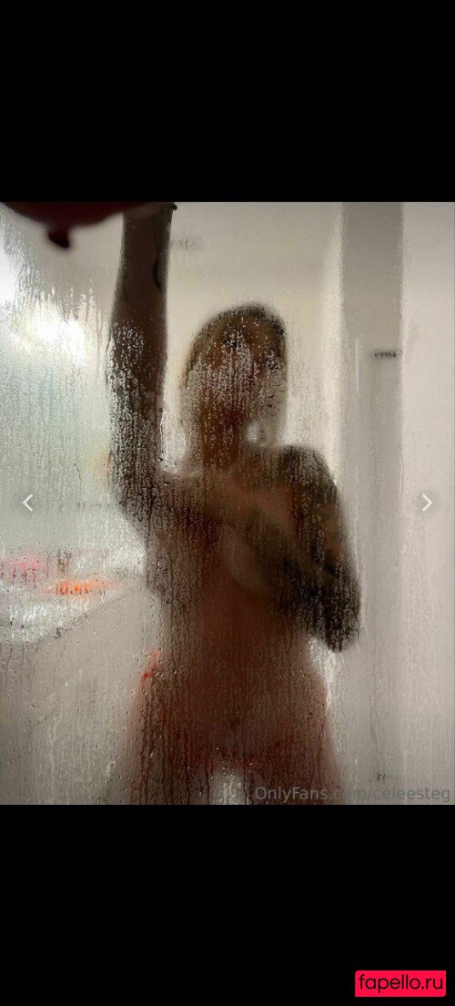 Celeesteg Nude Onlyfans Photo 23