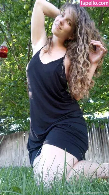 Harper The Fox Onlyfans Photo Gallery 