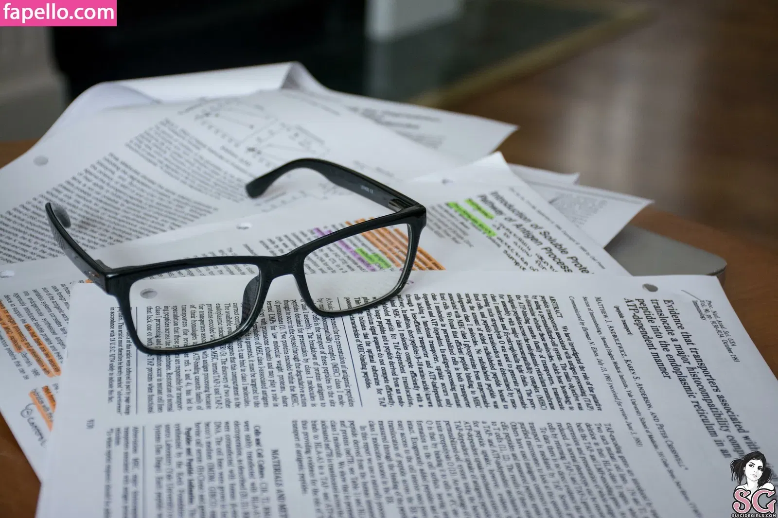 Starry SG Onlyfans Photo Gallery 