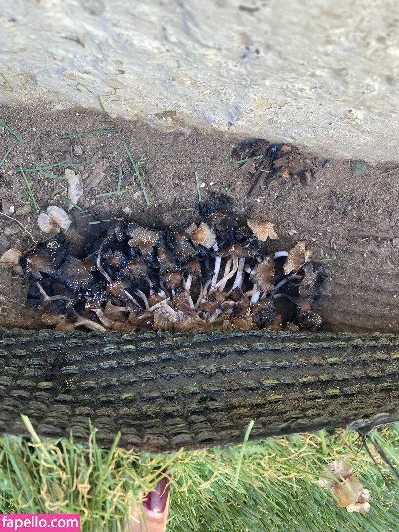 logsterbunny Onlyfans Photo Gallery 