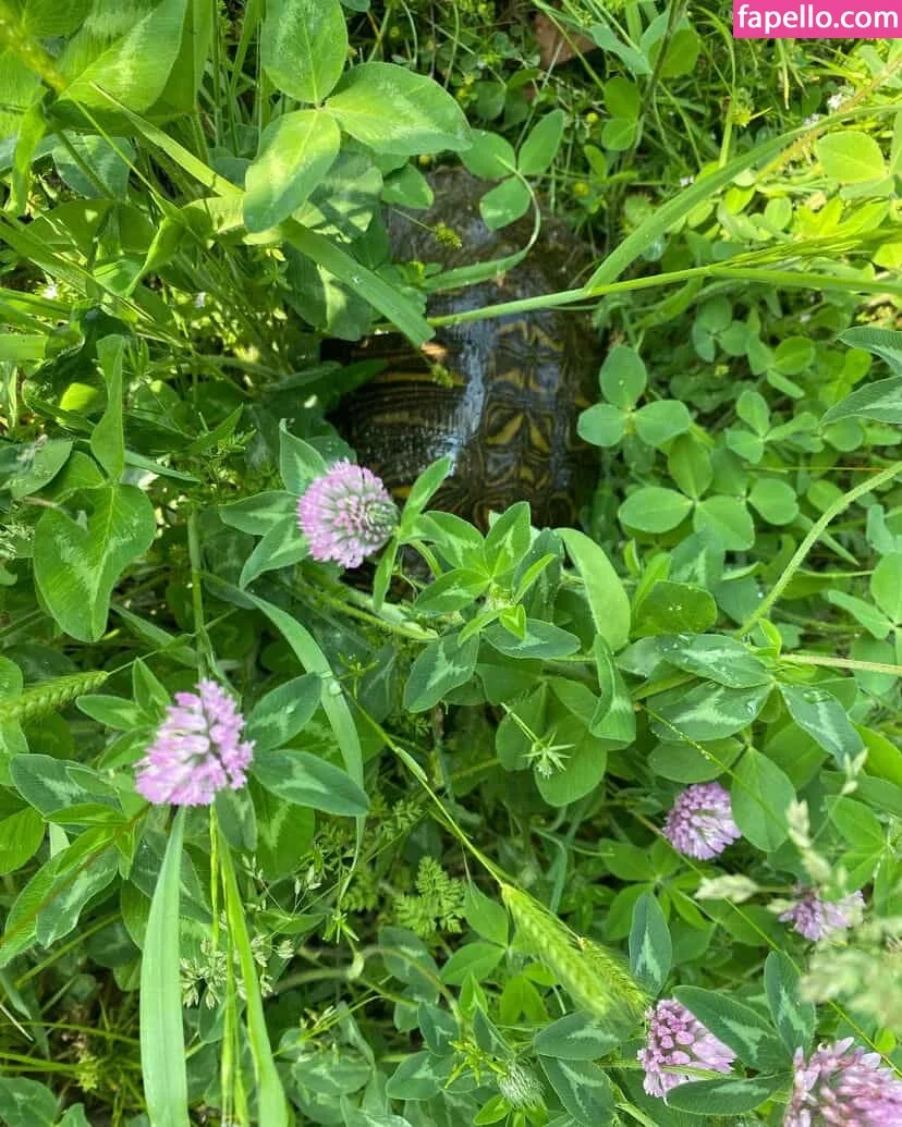 logsterbunny Onlyfans Photo Gallery 