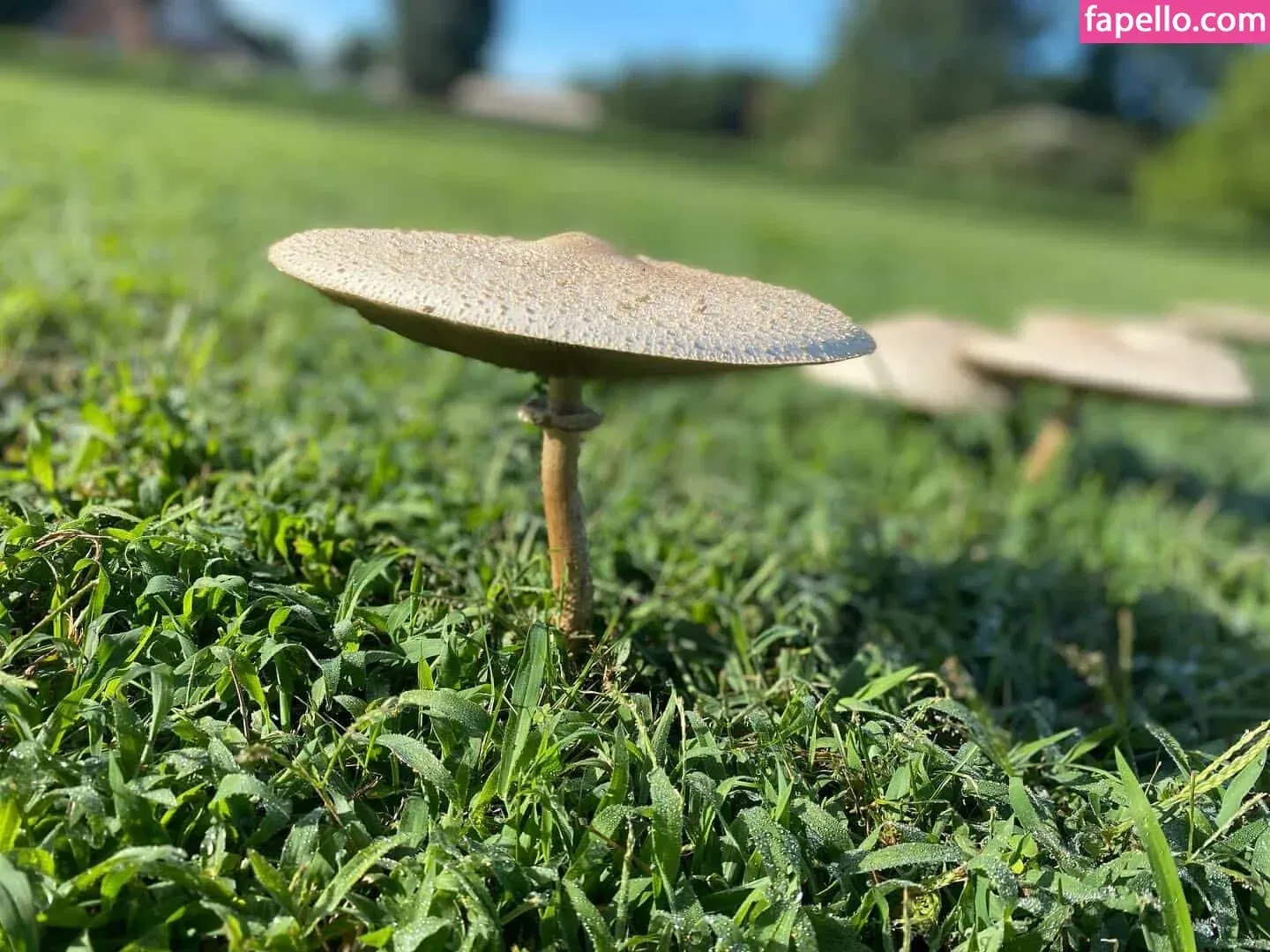 logsterbunny Onlyfans Photo Gallery 