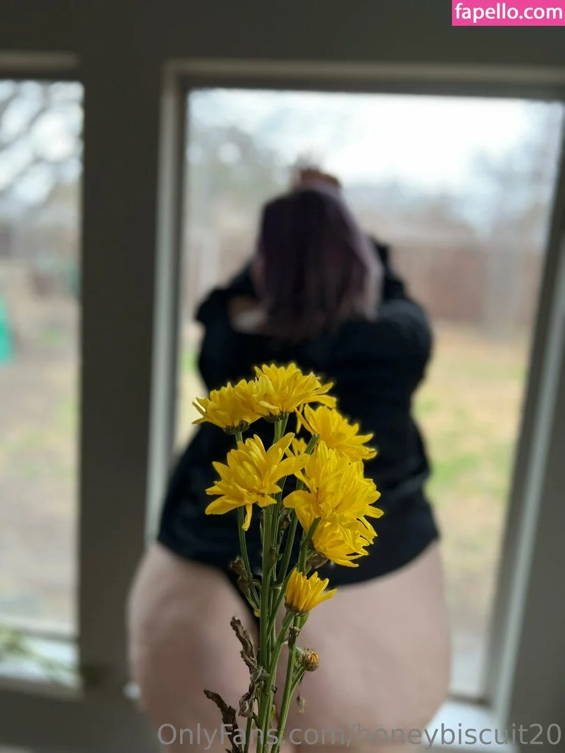 honeybiscuit20 Onlyfans Photo Gallery 