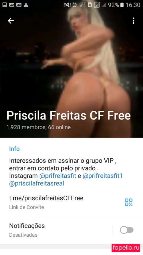 Priscila Freitas Nude Onlyfans Photo 24