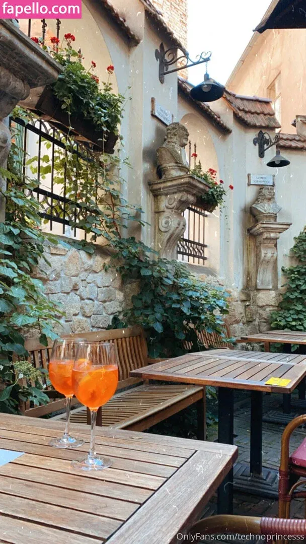 technoprincesss Onlyfans Photo Gallery 