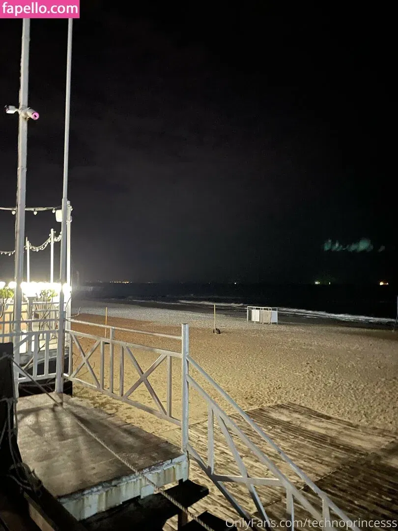 technoprincesss Onlyfans Photo Gallery 