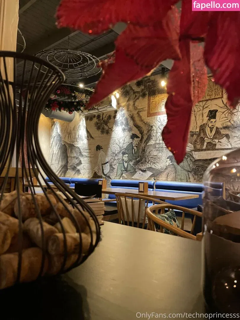 technoprincesss Onlyfans Photo Gallery 