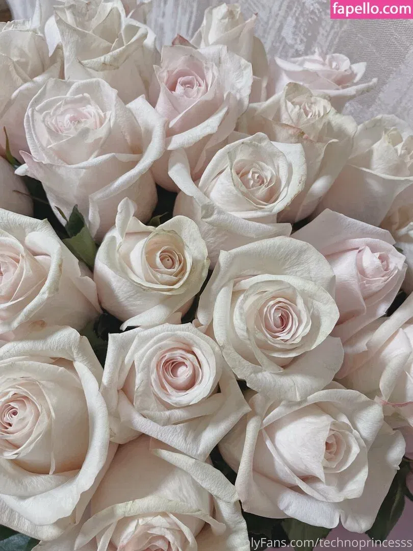 technoprincesss Onlyfans Photo Gallery 