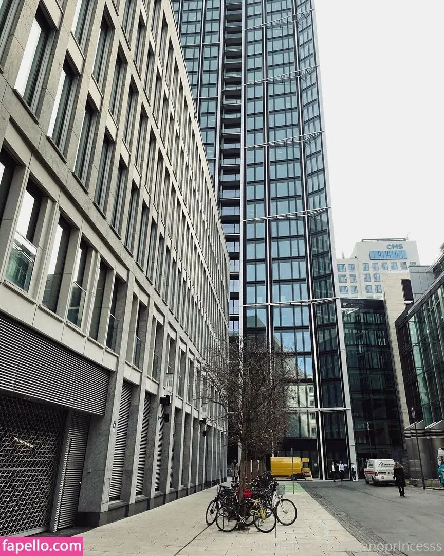 technoprincesss Onlyfans Photo Gallery 