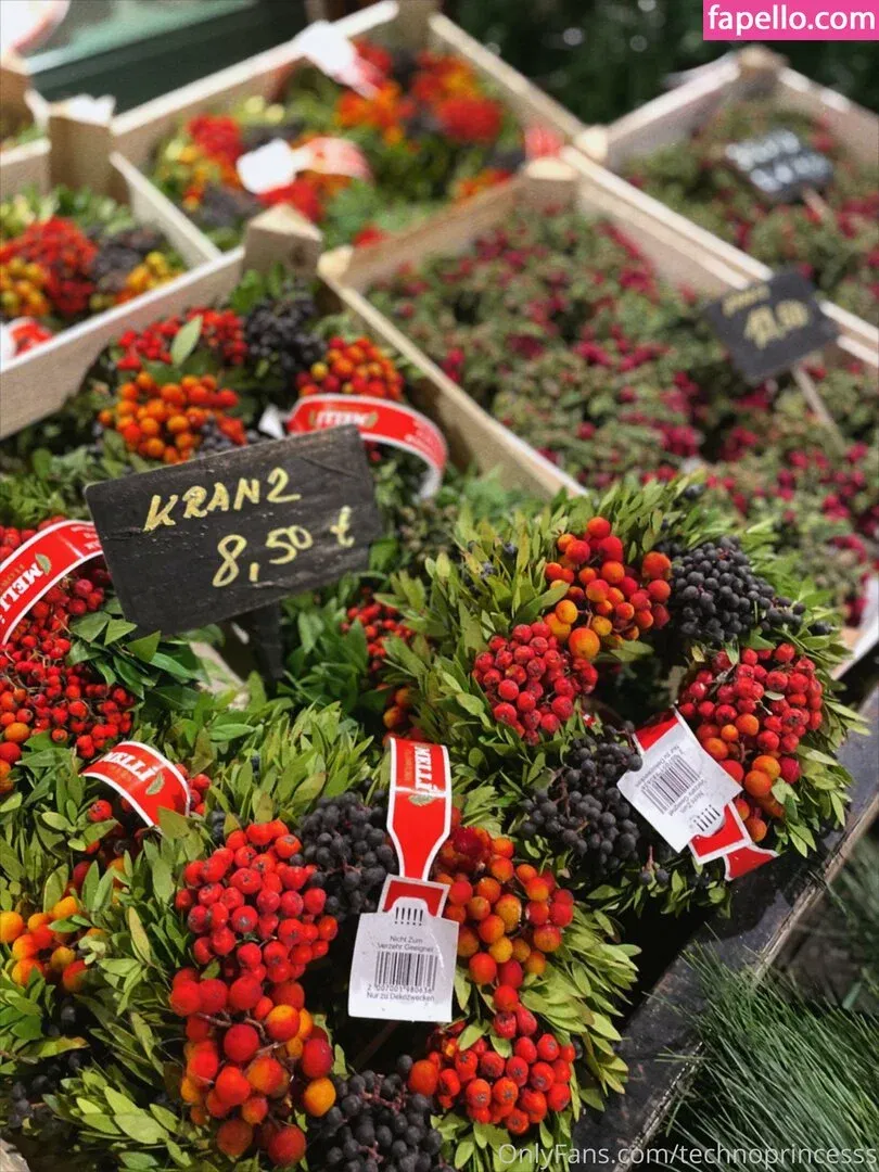 technoprincesss Onlyfans Photo Gallery 