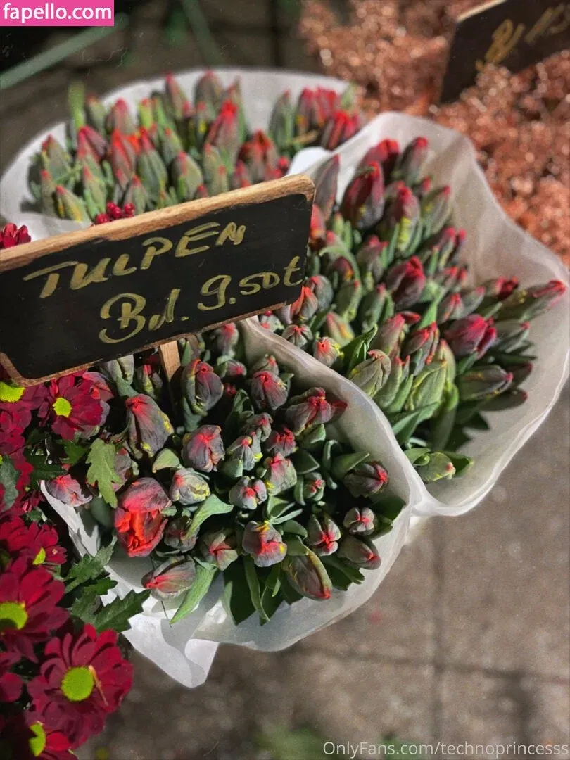 technoprincesss Onlyfans Photo Gallery 