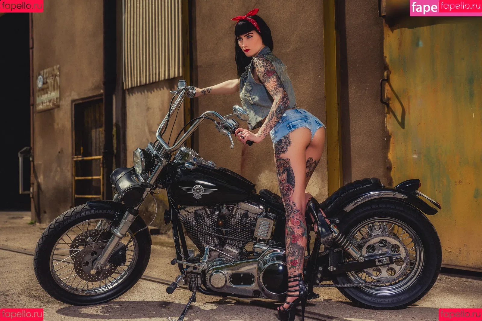 Wildcat Ink Onlyfans Photo Gallery 