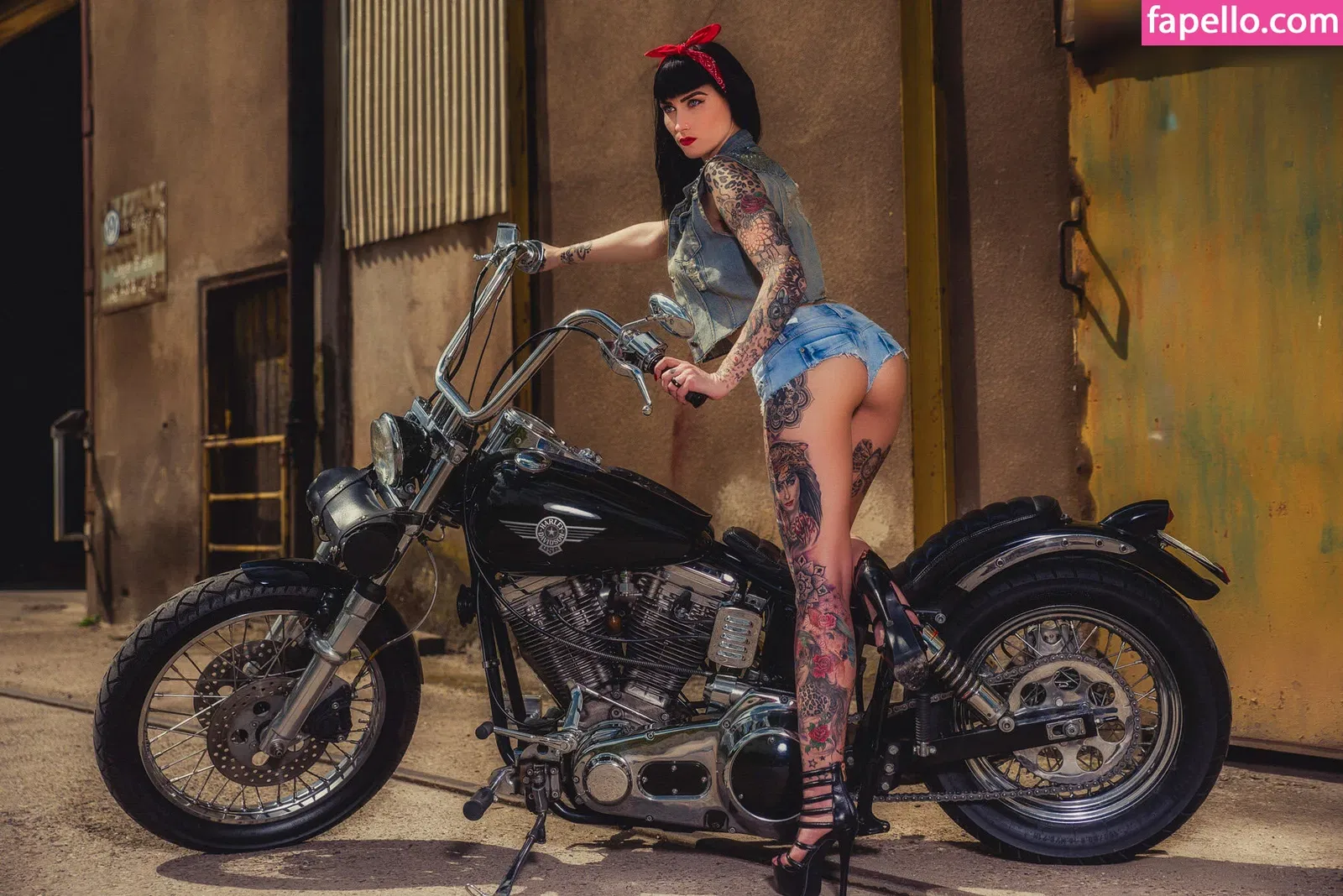 Wildcat Ink Onlyfans Photo Gallery 