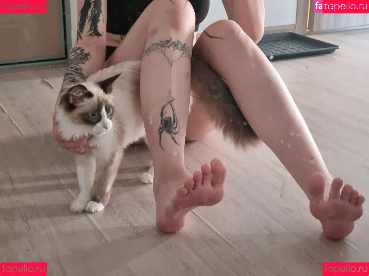 Jules Feet Onlyfans Photo Gallery 