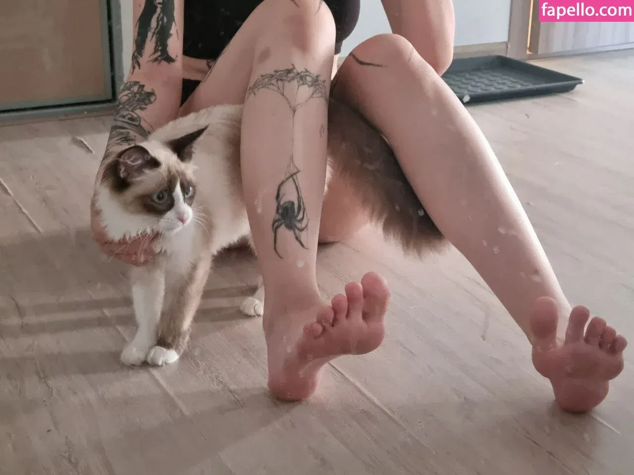 Jules Feet Onlyfans Photo Gallery 