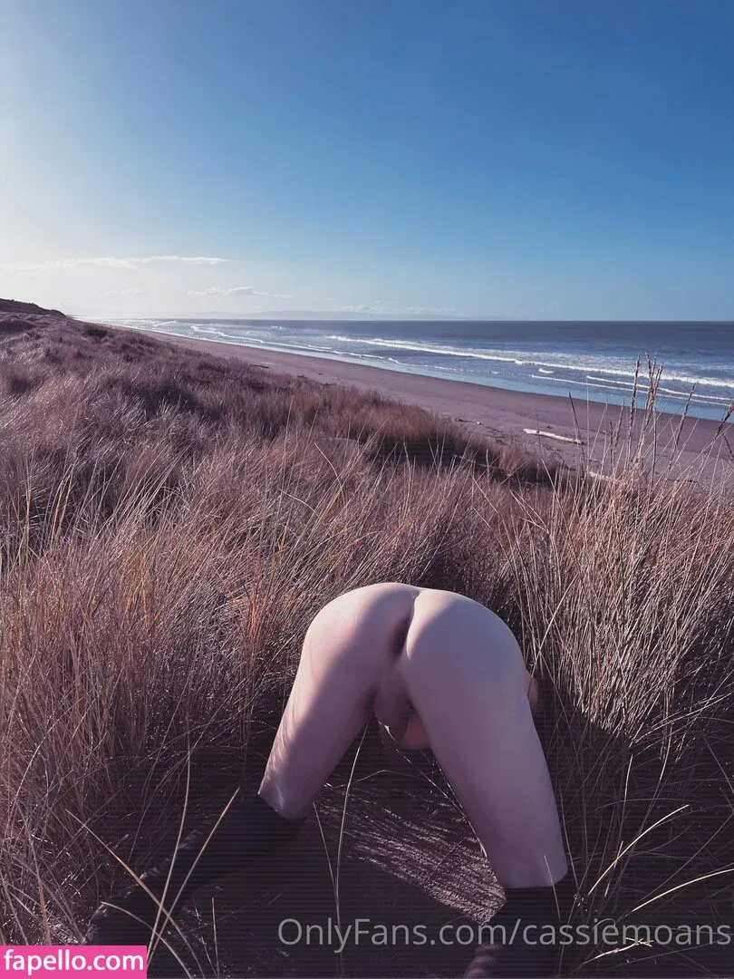 cassiemoans Onlyfans Photo Gallery 