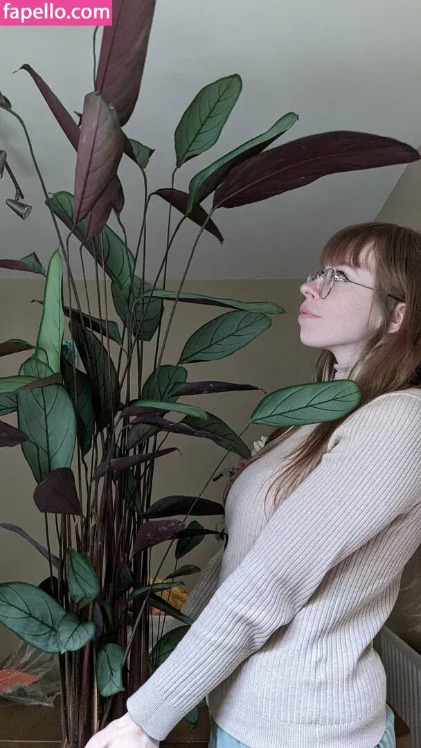 Bat Maisie Onlyfans Photo Gallery 