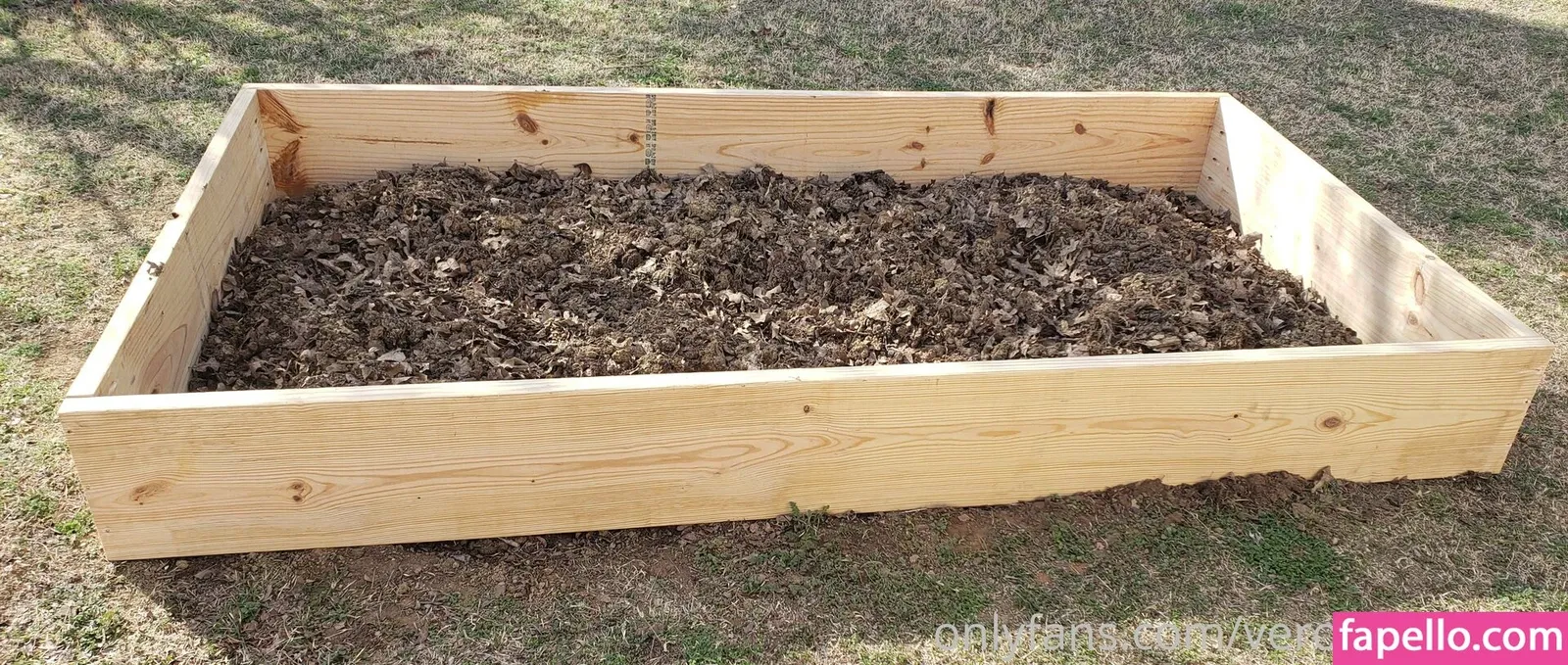 veronikaplants Onlyfans Photo Gallery 