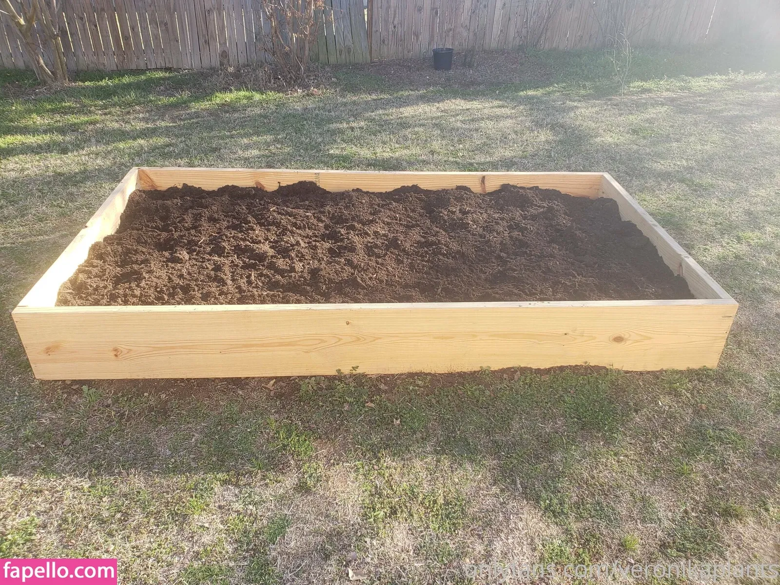 veronikaplants Onlyfans Photo Gallery 