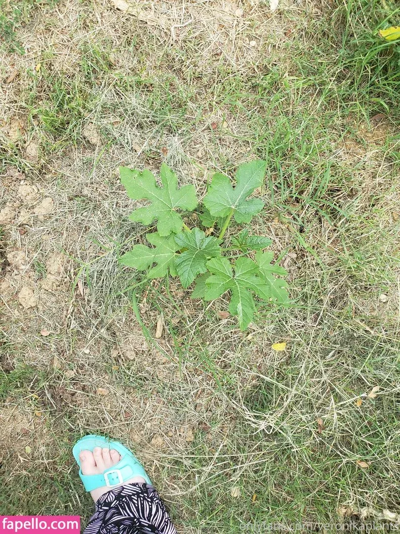 veronikaplants Onlyfans Photo Gallery 