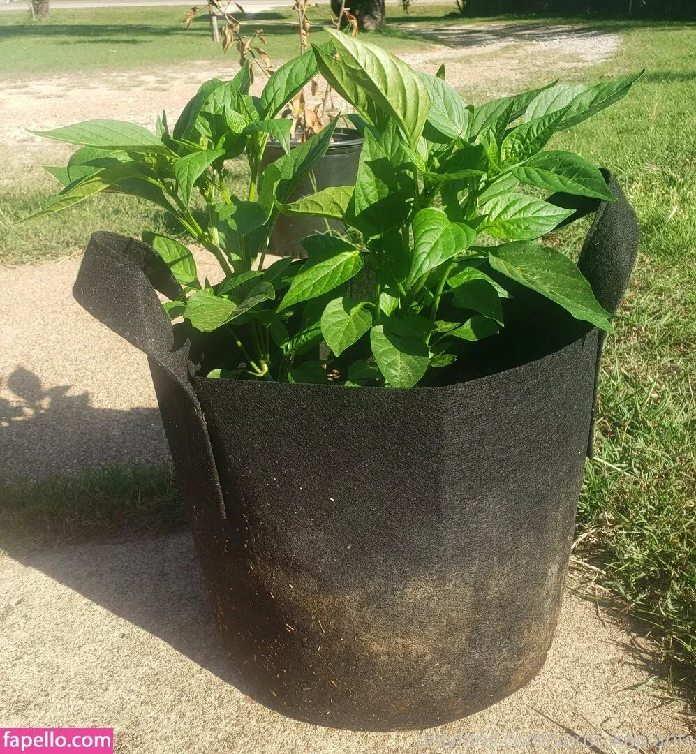 veronikaplants Onlyfans Photo Gallery 