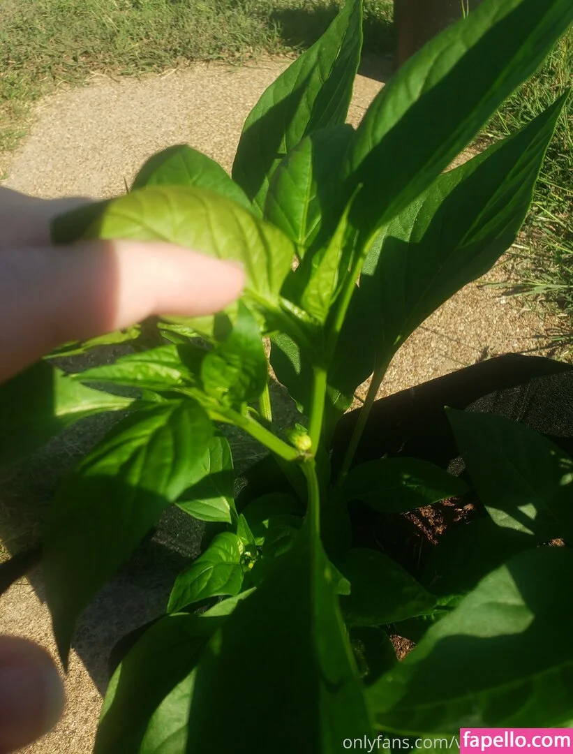 veronikaplants Onlyfans Photo Gallery 