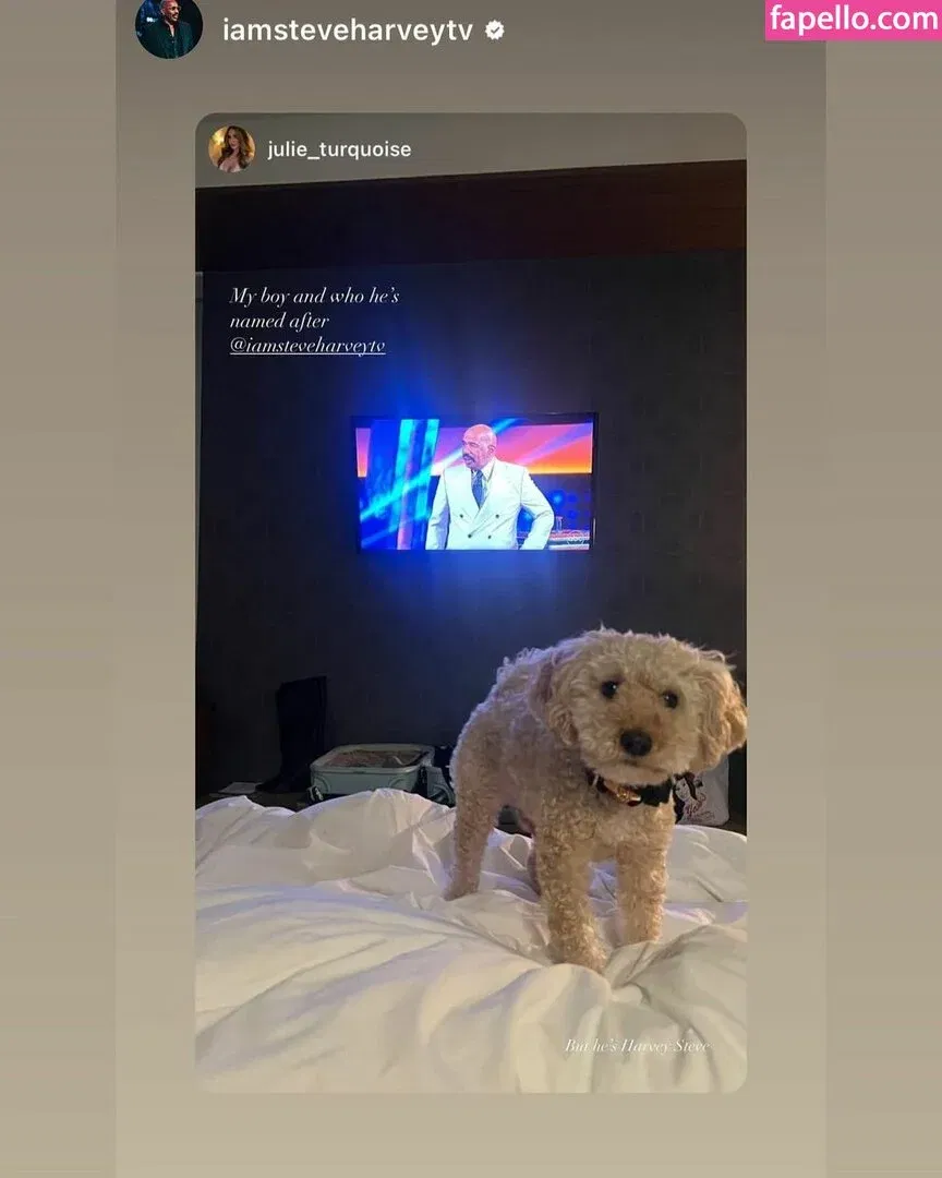 Julie Piraino Onlyfans Photo Gallery 