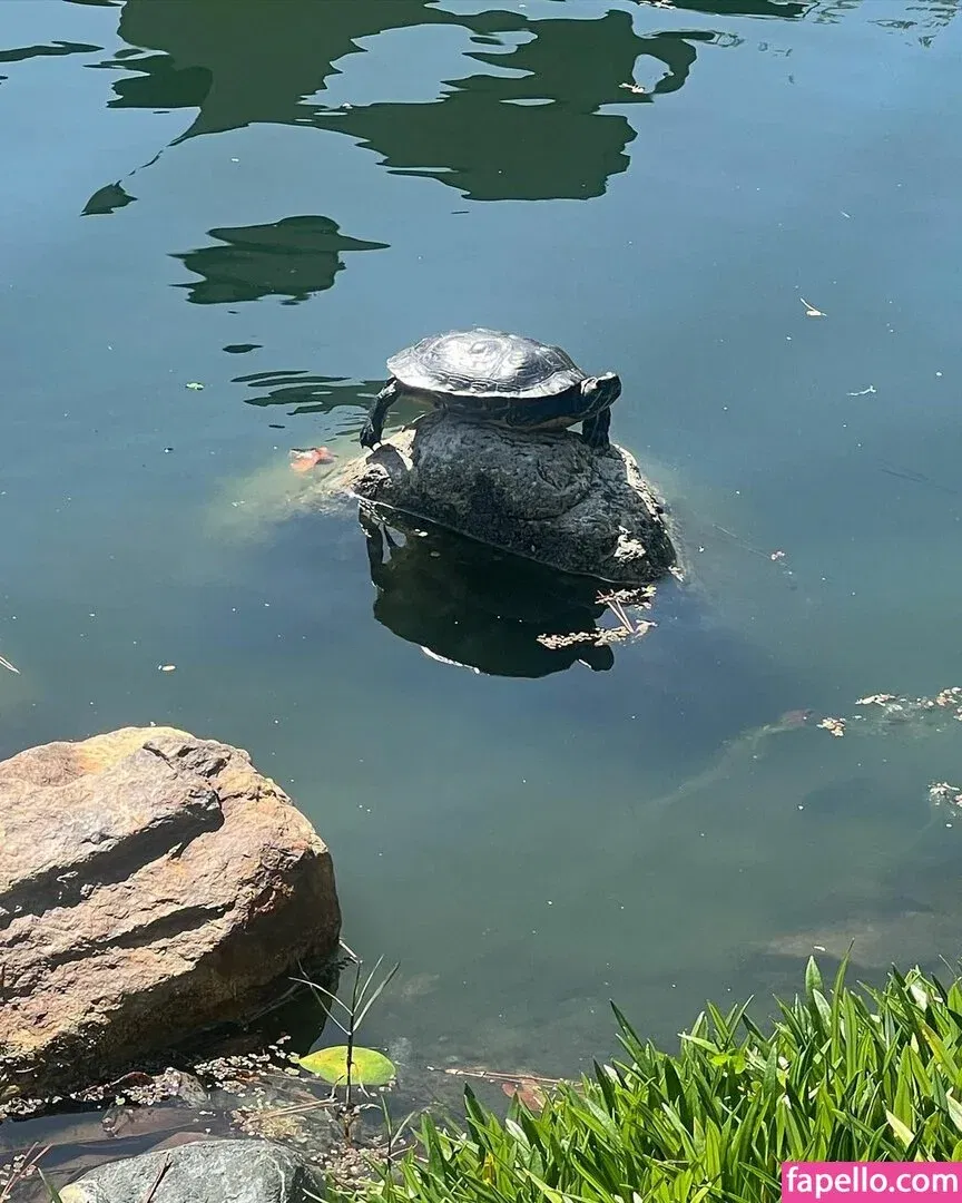 Julie Piraino Onlyfans Photo Gallery 