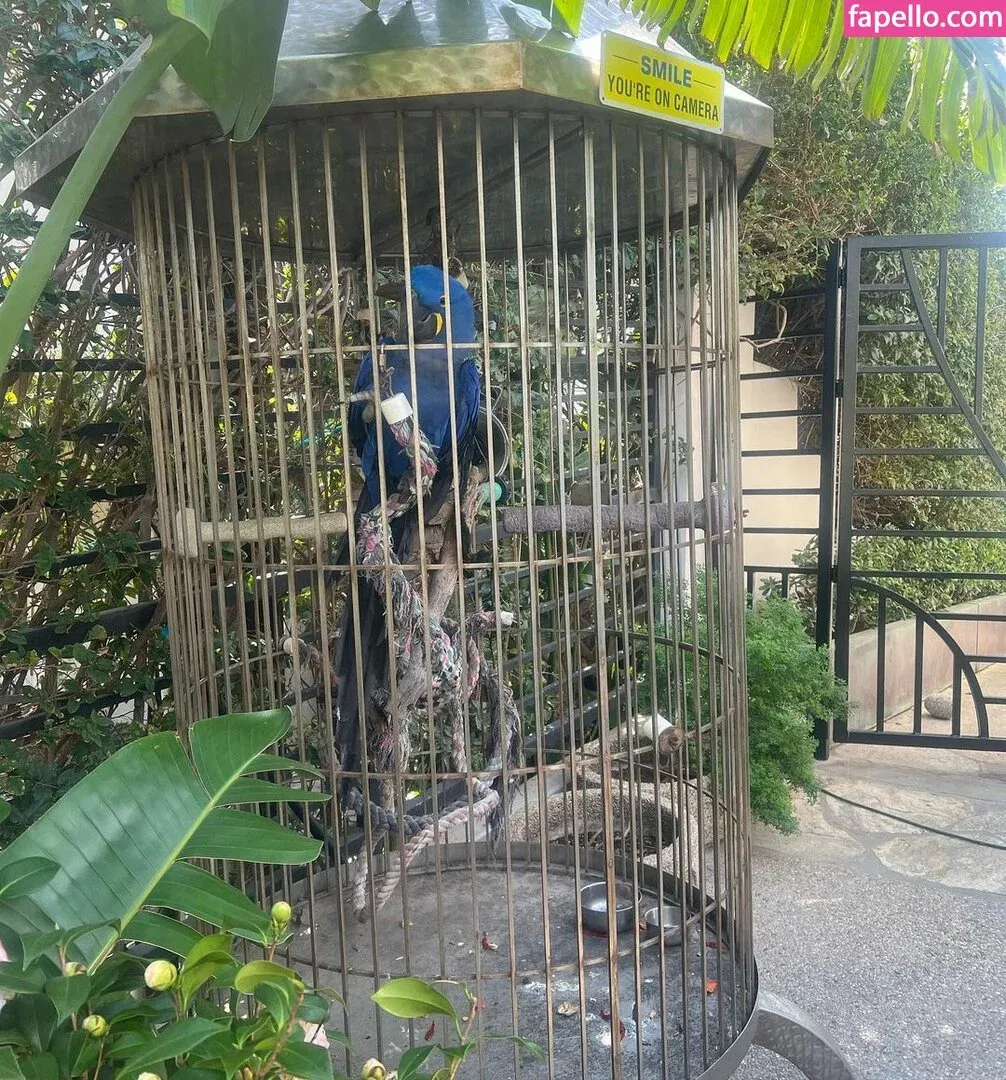 Julie Piraino Onlyfans Photo Gallery 