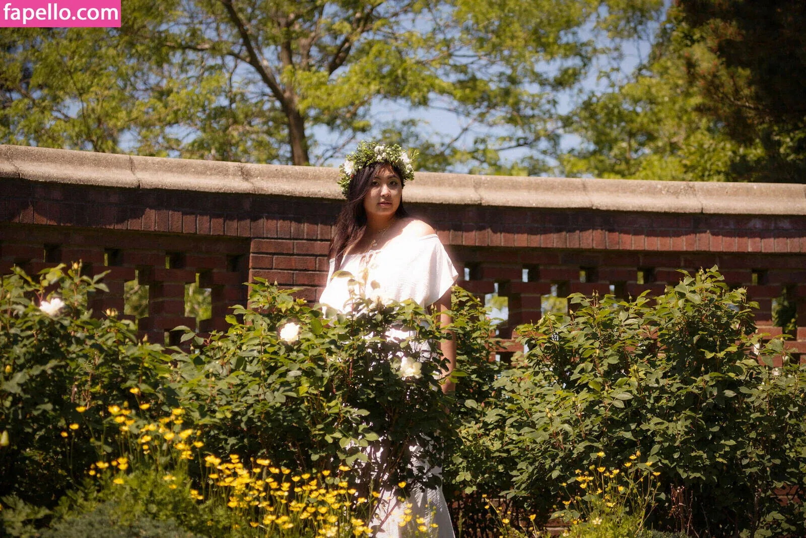 Mistletoad Onlyfans Photo Gallery 