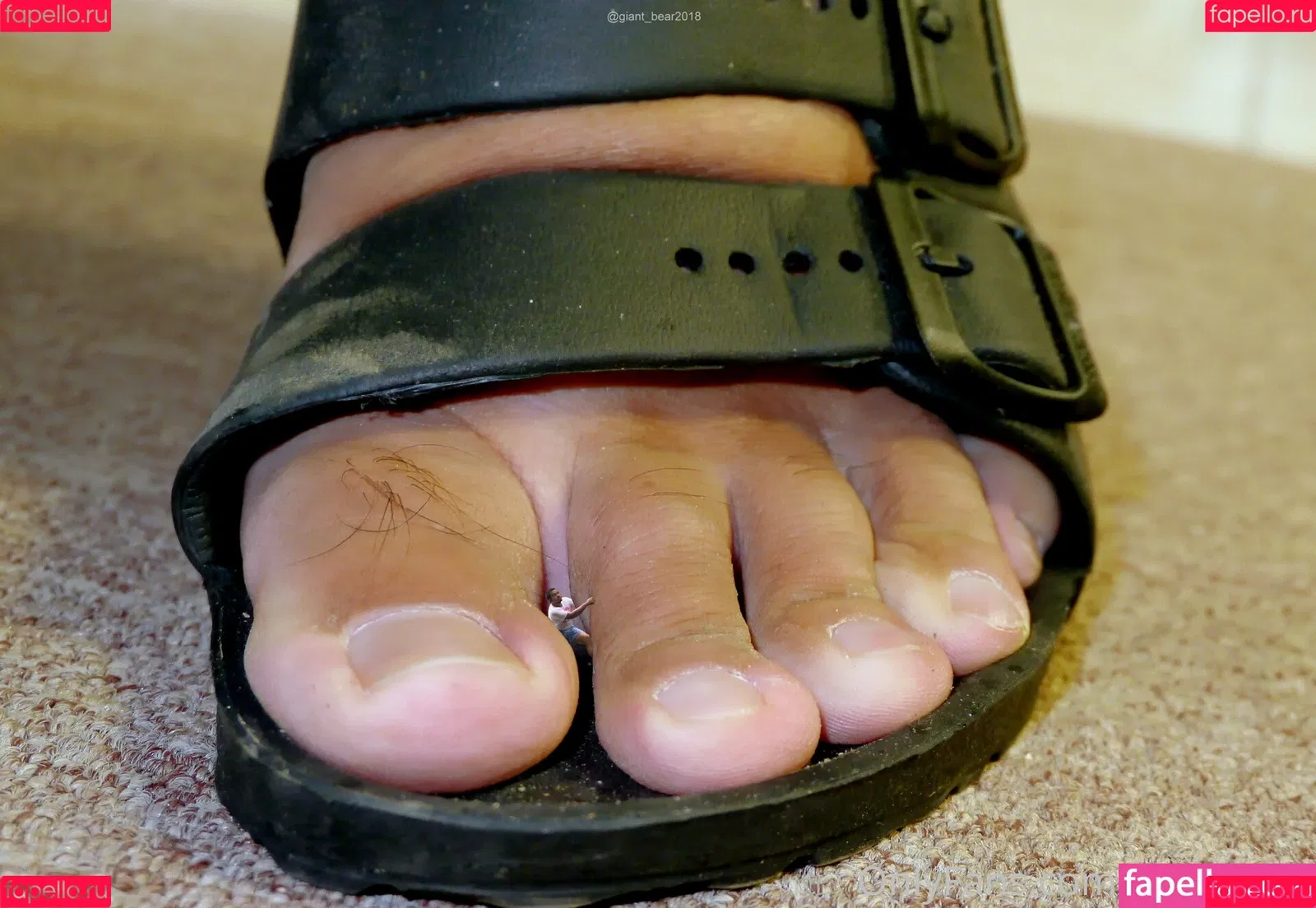 wild-boar-giant Onlyfans Photo Gallery 