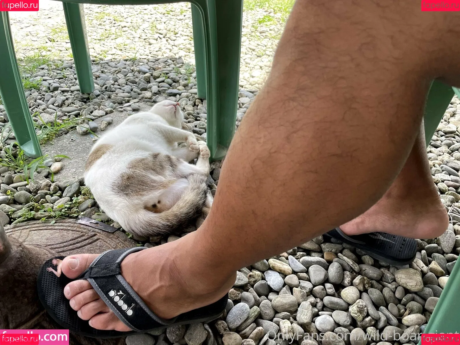 wild-boar-giant Onlyfans Photo Gallery 
