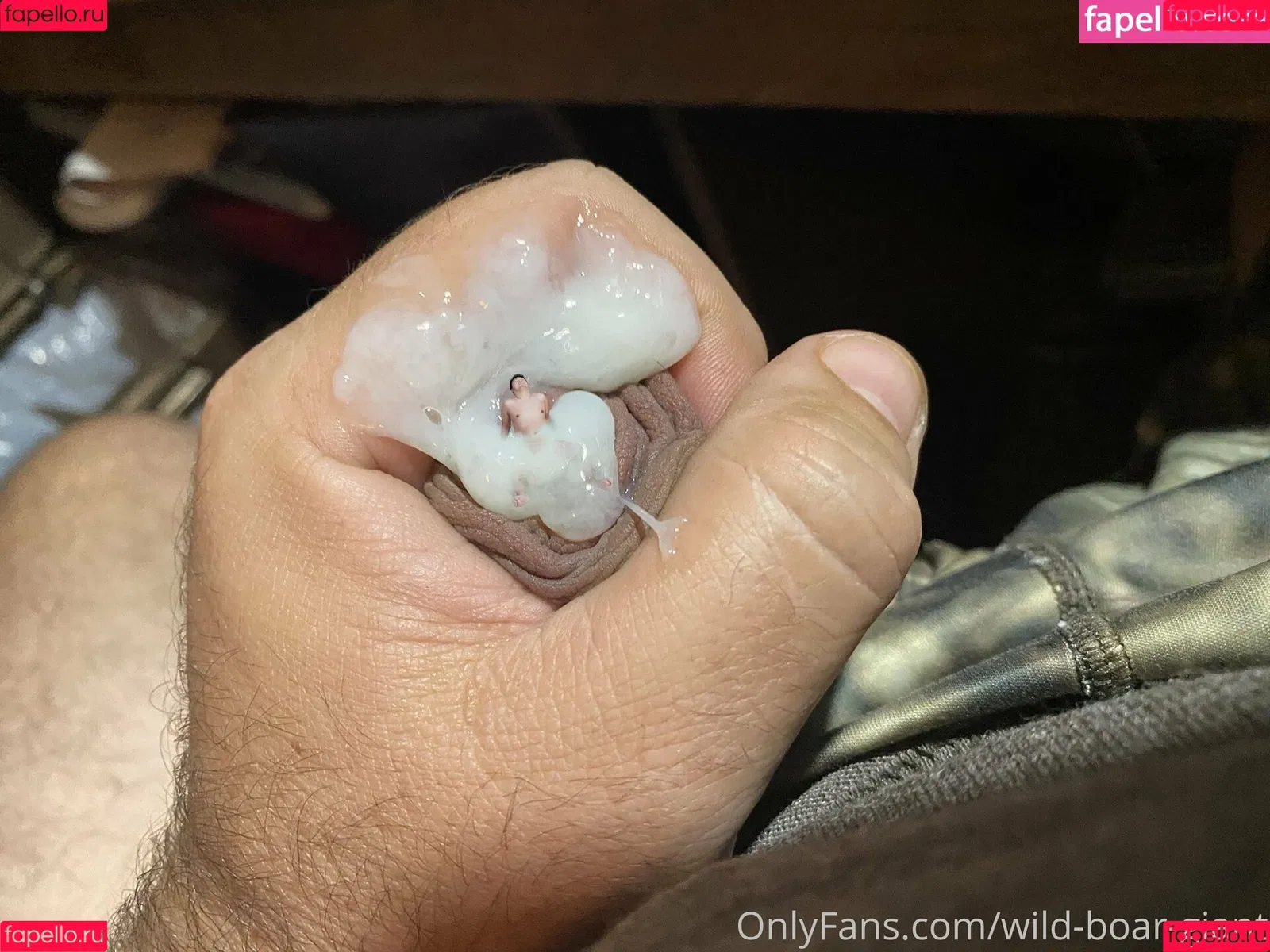 wild-boar-giant Onlyfans Photo Gallery 
