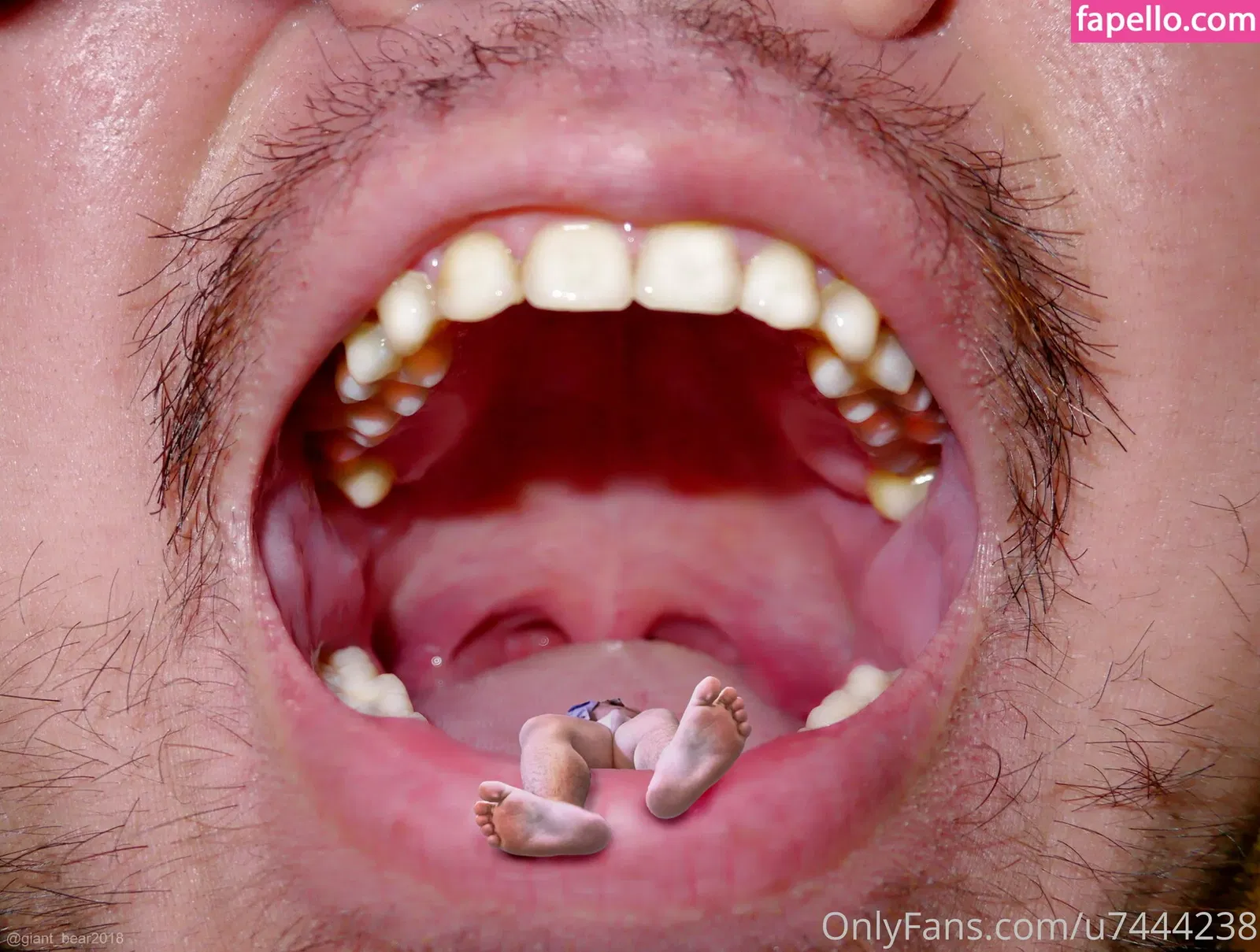 wild-boar-giant Onlyfans Photo Gallery 